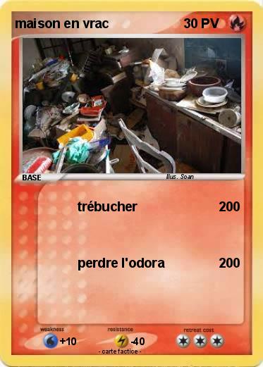 Pokemon maison en vrac