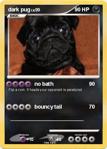 Pokemon dark pug