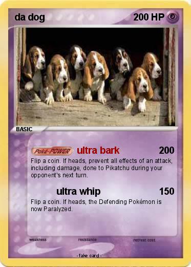 Pokemon da dog