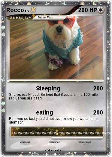 Pokemon Rocco