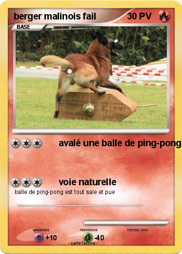 Pokemon berger malinois fail