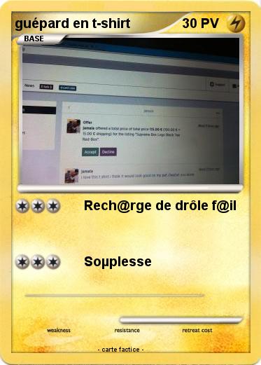 Pokemon guépard en t-shirt