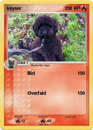 Pokemon keyser