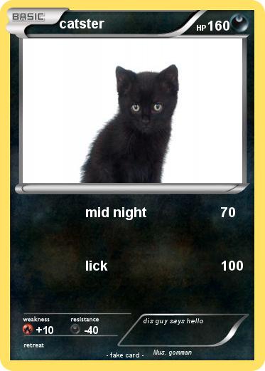 Pokemon catster