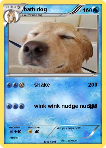 Pokemon bath dog