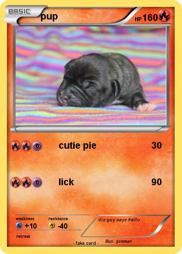 Pokemon pup