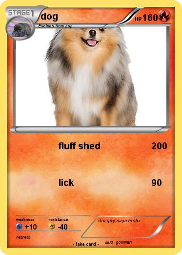 Pokemon dog