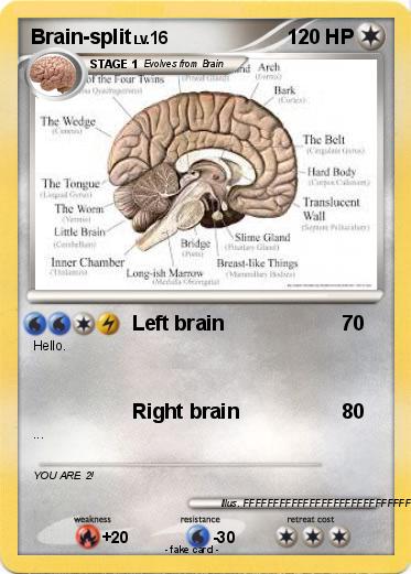 Pokemon Brain-split