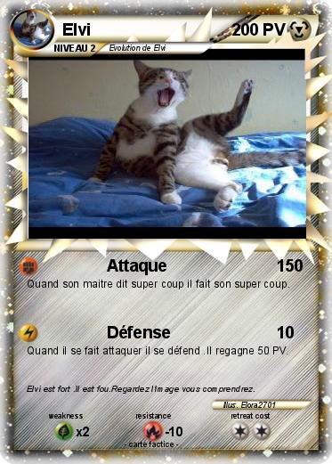 Pokemon Elvi