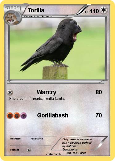Pokemon Torilla