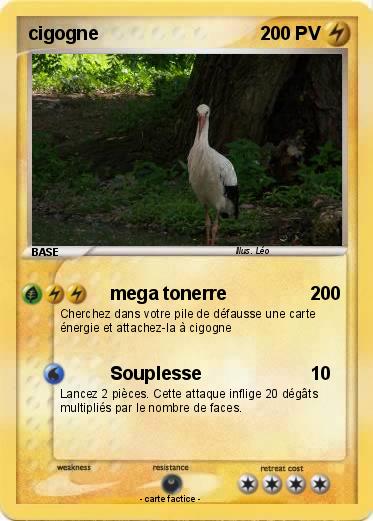 Pokemon cigogne
