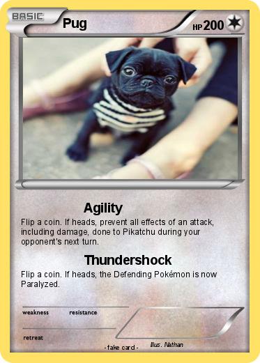 Pokemon Pug