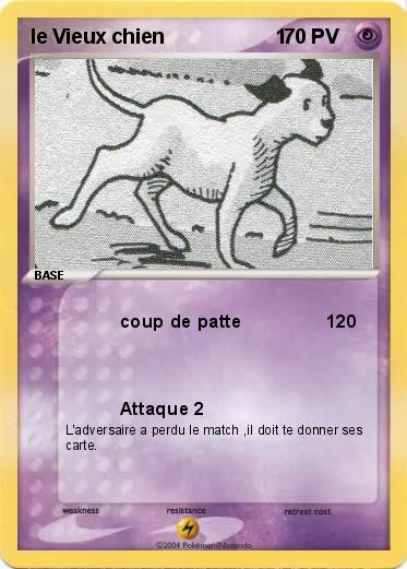 Pokemon le Vieux chien                    1