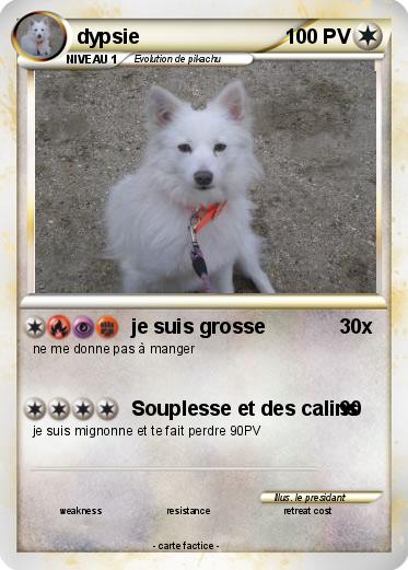 Pokemon dypsie