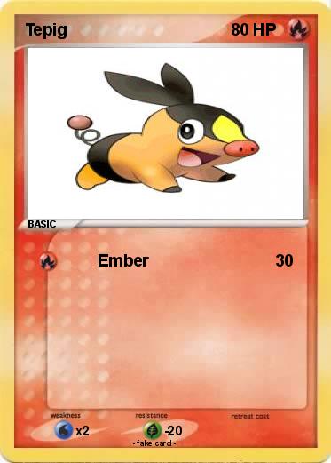 Pokemon Tepig