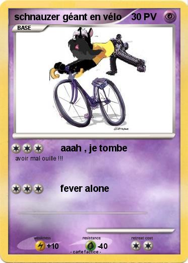 Pokemon schnauzer géant en vélo