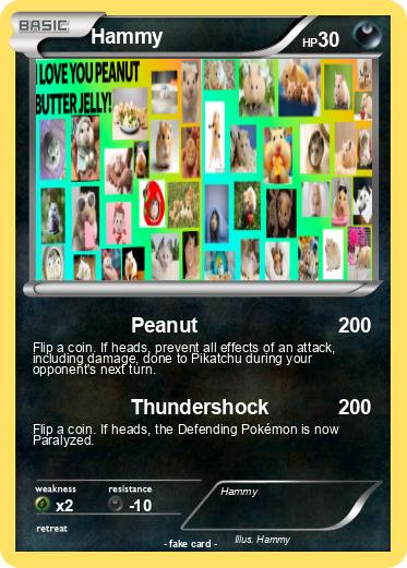 Pokemon Hammy