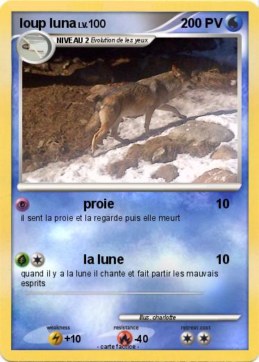 Pokemon loup luna