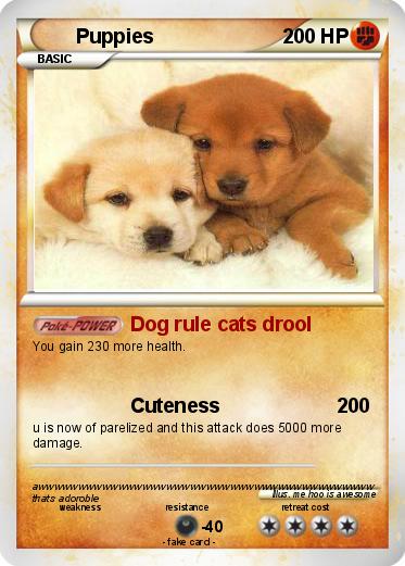 Pokemon Puppies