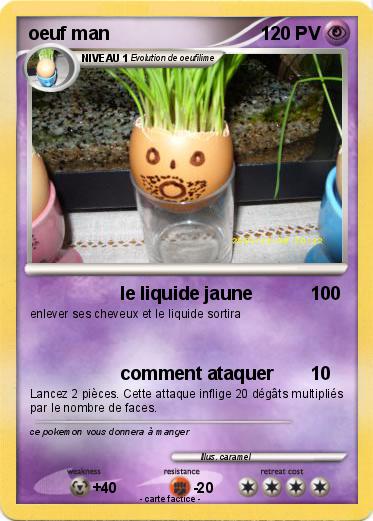 Pokemon oeuf man