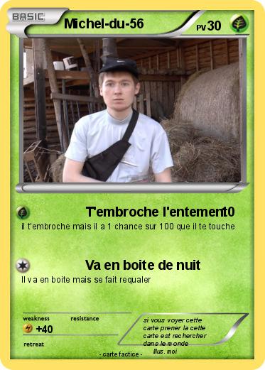 Pokemon Michel-du-56