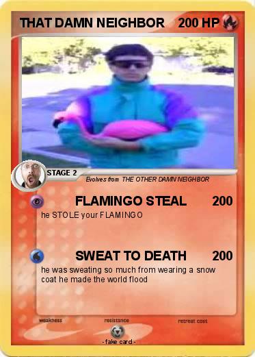 Pokemon THAT DAMN NEIGHBOR