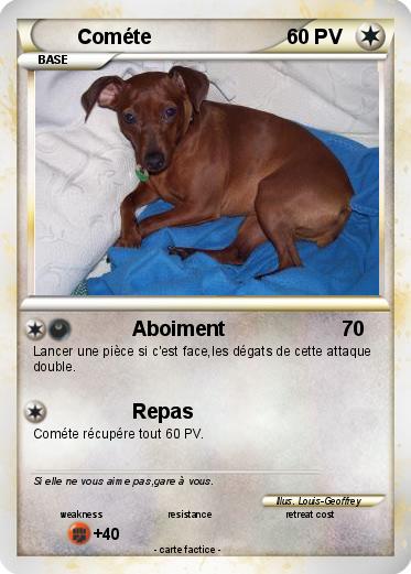 Pokemon Cométe