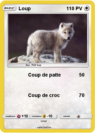 Pokemon Loup