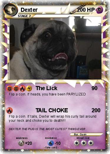 Pokemon Dexter