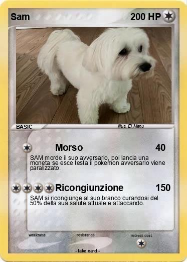 Pokemon Sam