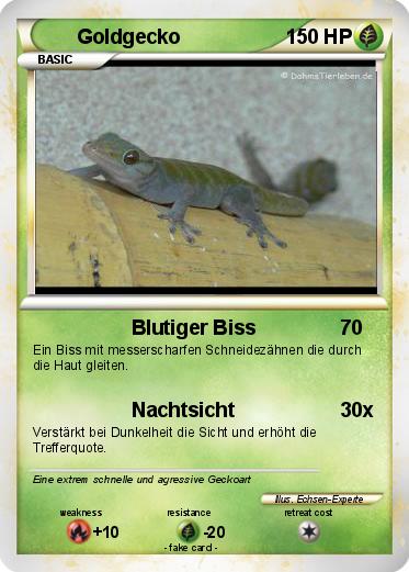 Pokemon Goldgecko