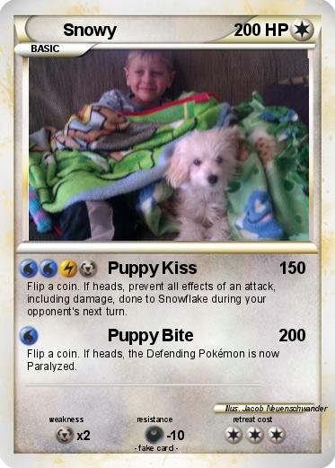 Pokemon Snowy
