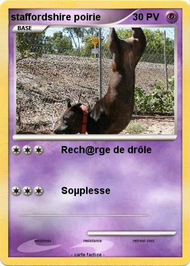 Pokemon staffordshire poirie