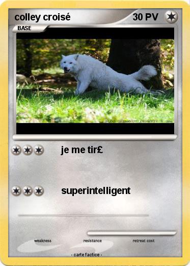 Pokemon colley croisé