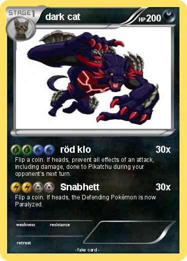 Pokemon dark cat
