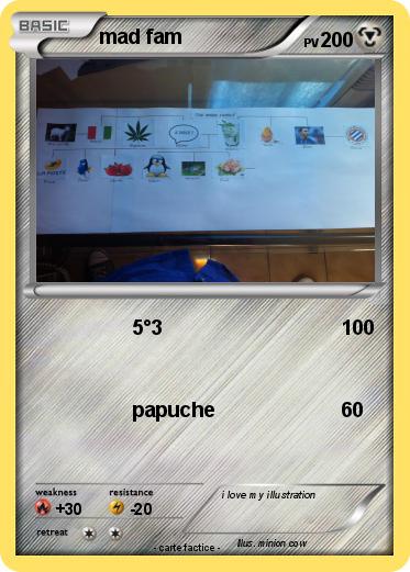 Pokemon mad fam