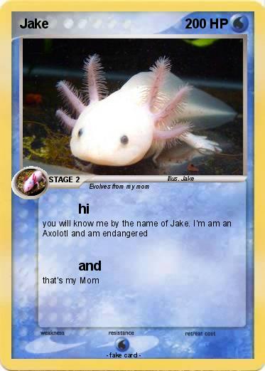 Pokemon Jake
