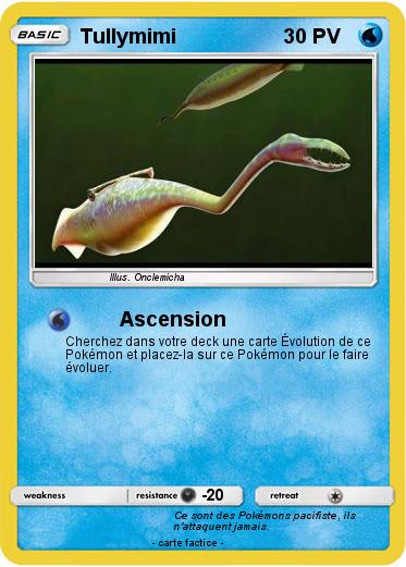 Pokemon Tullymimi