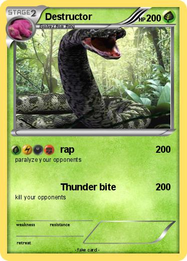 Pokemon Destructor