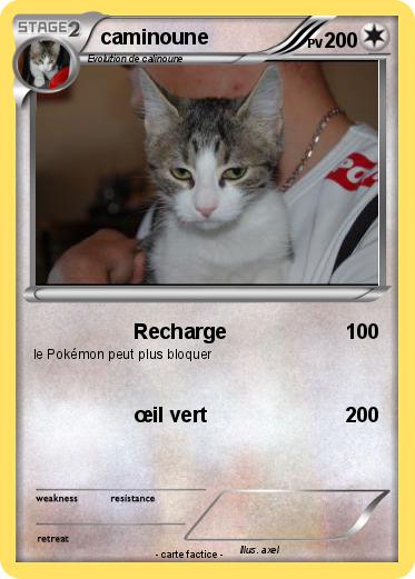 Pokemon caminoune
