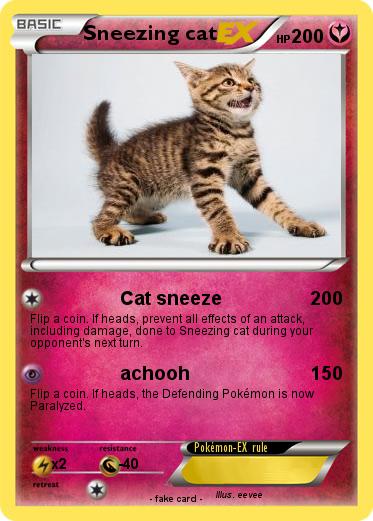 Pokemon Sneezing cat