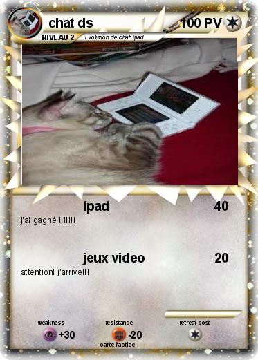 Pokemon chat ds