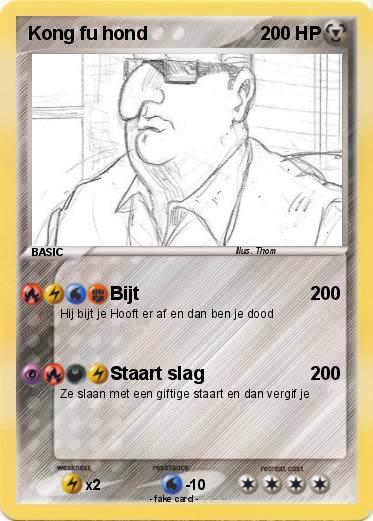 Pokemon Kong fu hond