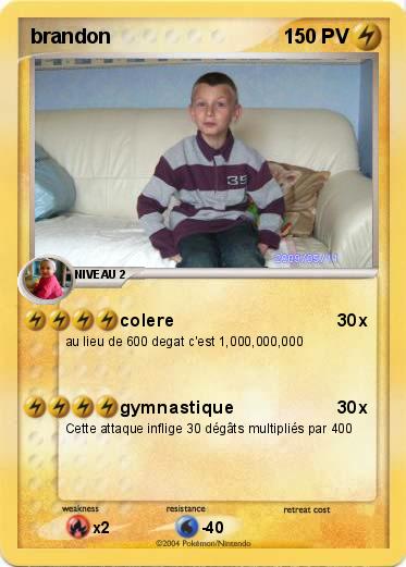 Pokemon brandon