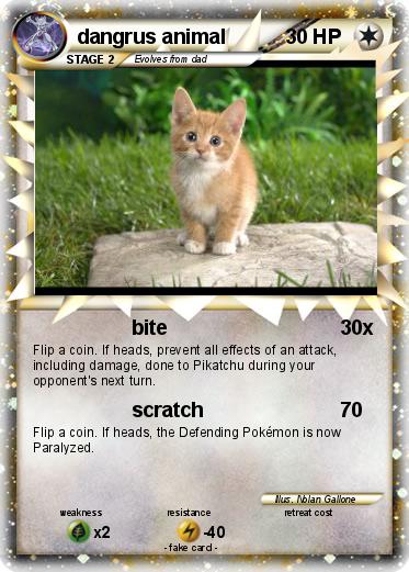 Pokemon dangrus animal