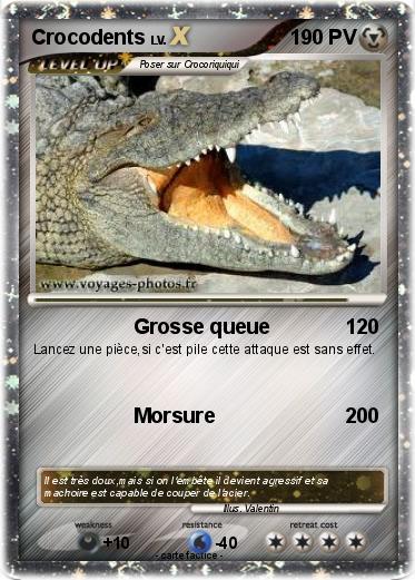 Pokemon Crocodents