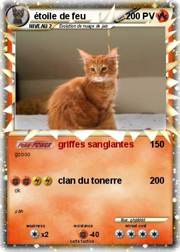 Pokemon étoile de feu
