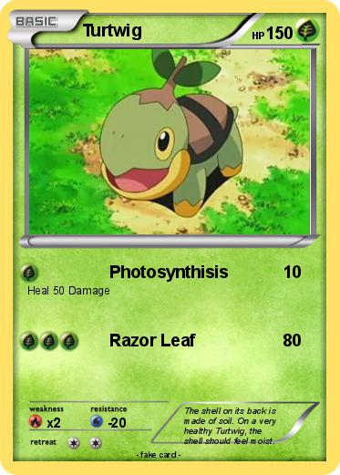 Pokemon Turtwig