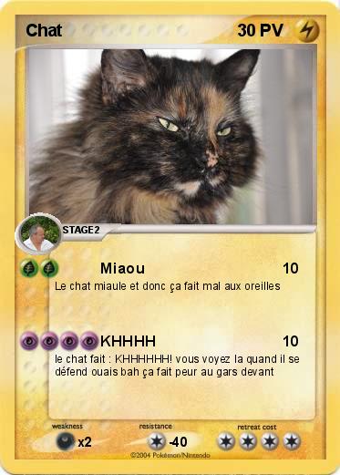 Pokemon Chat 
