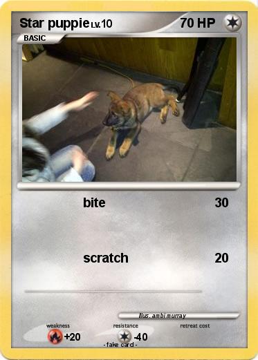 Pokemon Star puppie